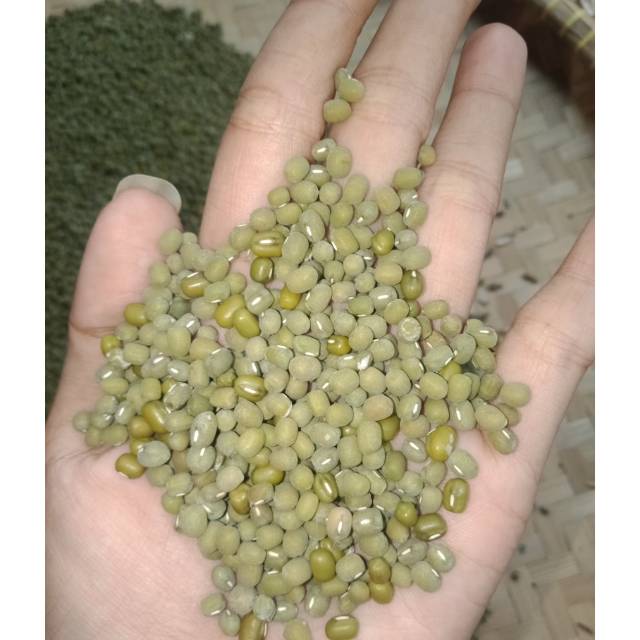 

kacang ijo 1kg
