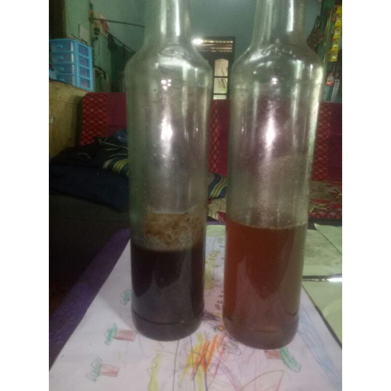 

madu murni, madu hutan