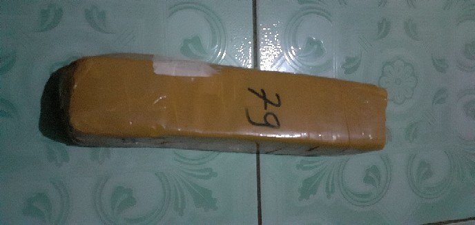 Tanaman Hias Calathea Drag Star Tanaman Calathea Drakstar