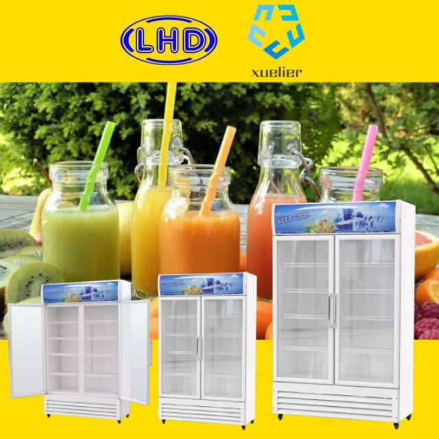 Showcase chiller 2 door