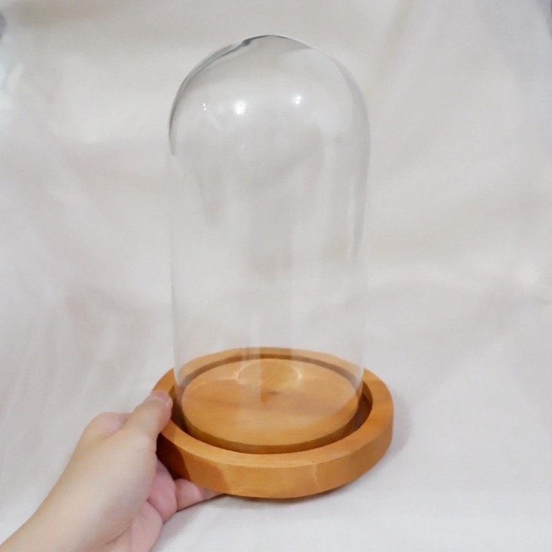 Medium Glass dome jar vas | kubah kaca mahar (kosongan tanpa bunga)