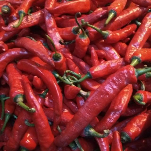 

Jual cabe merah segar min 500 gram