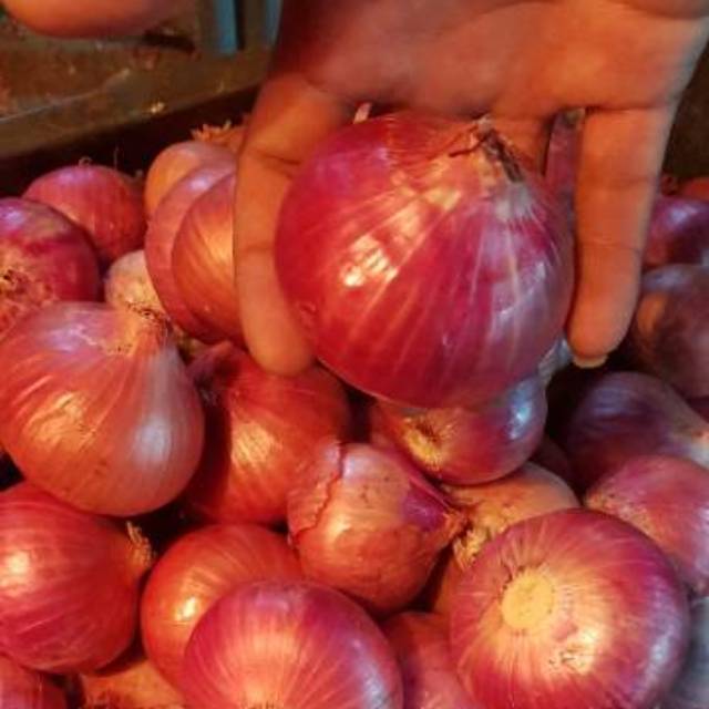 

Bawang Merah besar impor /peking 1 kg