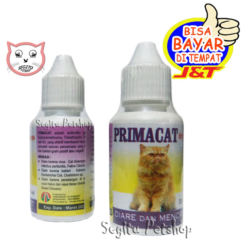 Obat Diare Mencret Kucing Primacat