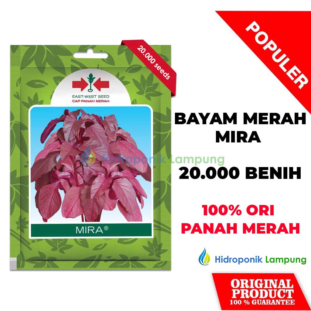 Jual BENIH BIBIT BAYAM MERAH MIRA CAP PANAH MERAH | Shopee Indonesia