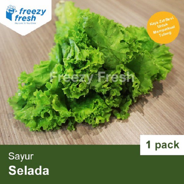 

Sayur Selada (1 Kilo)