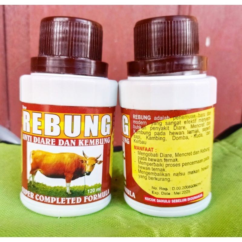 Rebung-Obat kembung sapi, kambing, domba, kuda, kerbau