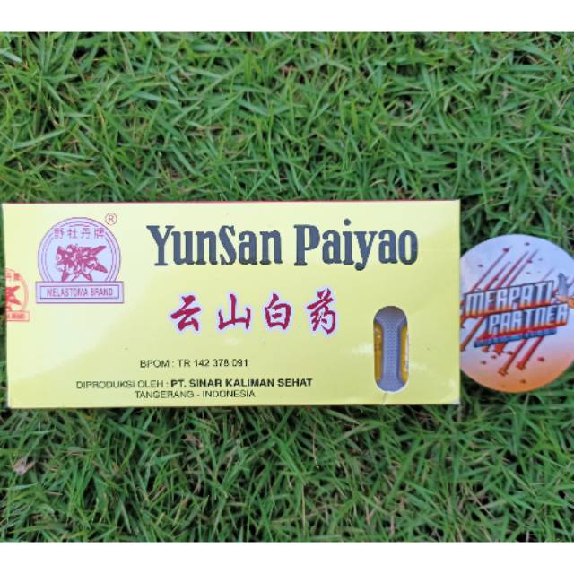 Yunnan Paiyao/Yunsan Paiyao Obat Luka dalam