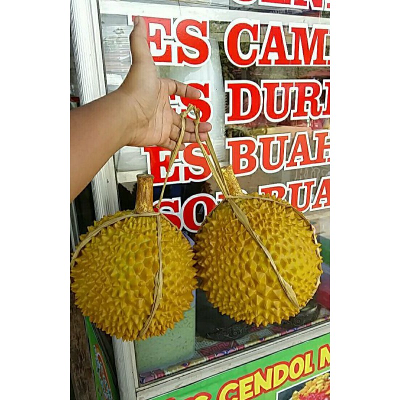 duren hias pajangan duren artifisial hiasan duren karet sample duren palsu durian hias duren mainan