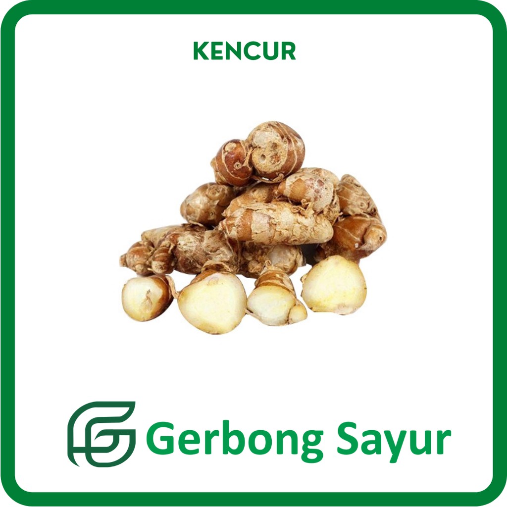 

Bumbu Kencur Segar - 250g