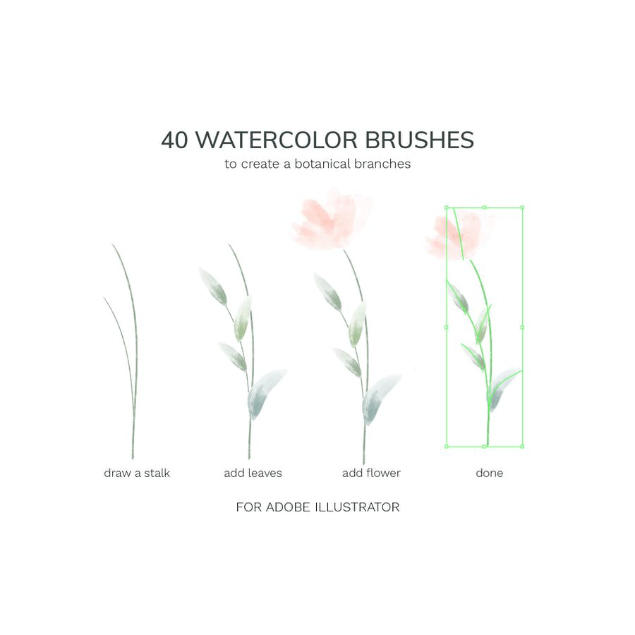 Vector Botanical Watercolor Brushes