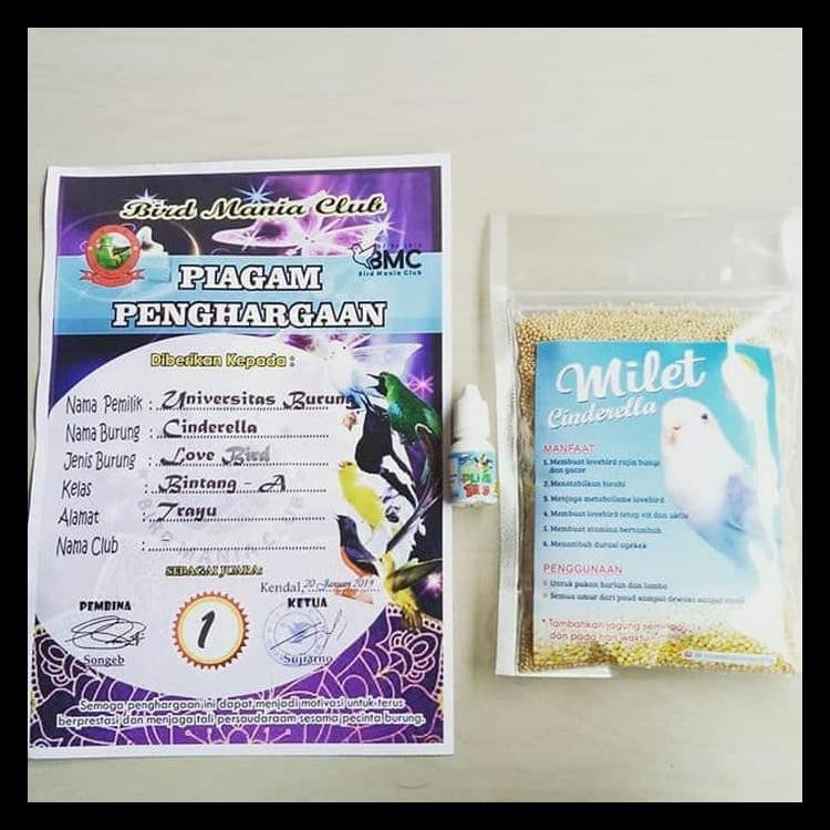

SPECIAL Milet Cinderella + Sup Plus Bird (Paket)