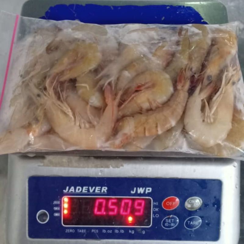 

Udang Segar 500gram