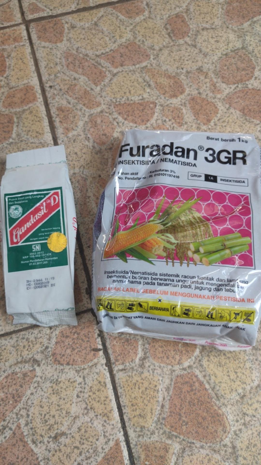 Pupuk Daun Gandasil D-100 Gram