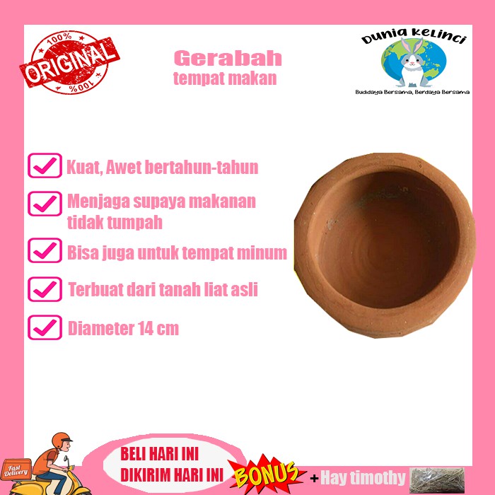 Gerabah Tempat Makanan Kelinci Marmut Kuat Tahan Lama