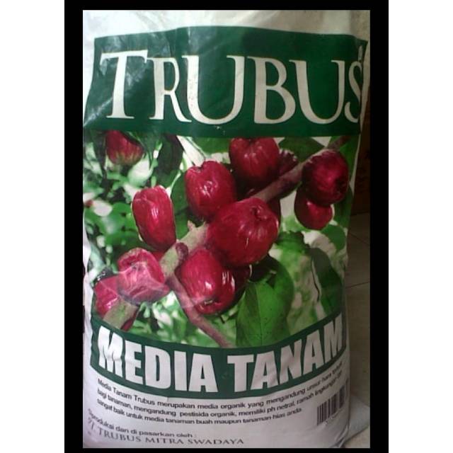 Media tanam trubus