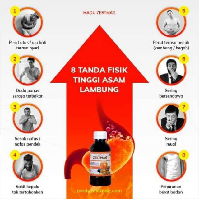 madu zestmag obat asam lambung herbal  madu zestmag madu asam lambung-2