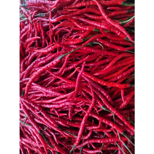 

Cabe merah keriting 500gram
