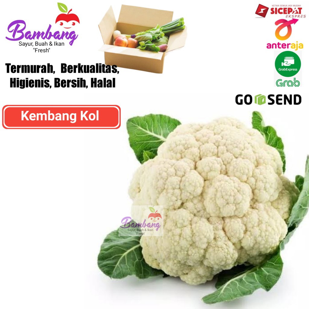 

kembang kol kembang kol segar sayur segar 1 pcs