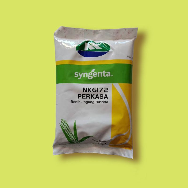 Benih jagung NK 6172 Perkasa