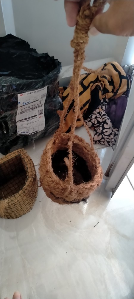 Pot Gantung Untuk Anggrek Bulan, Dendrobium Terbuat Dari Sabut Kelapa