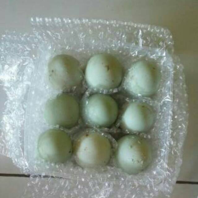 

telor bebek 9 pcs