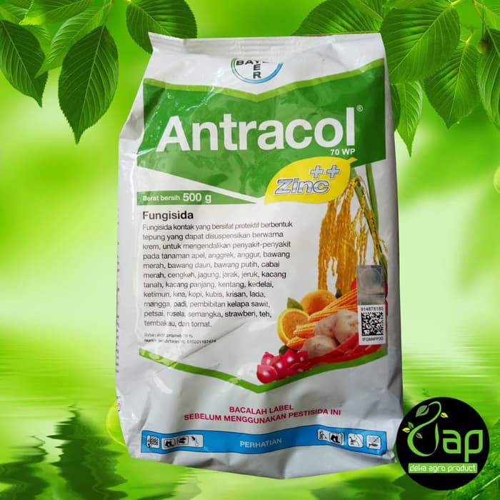 Fungisida Antracol 70 Wp 500 Gram Shopee Indonesia