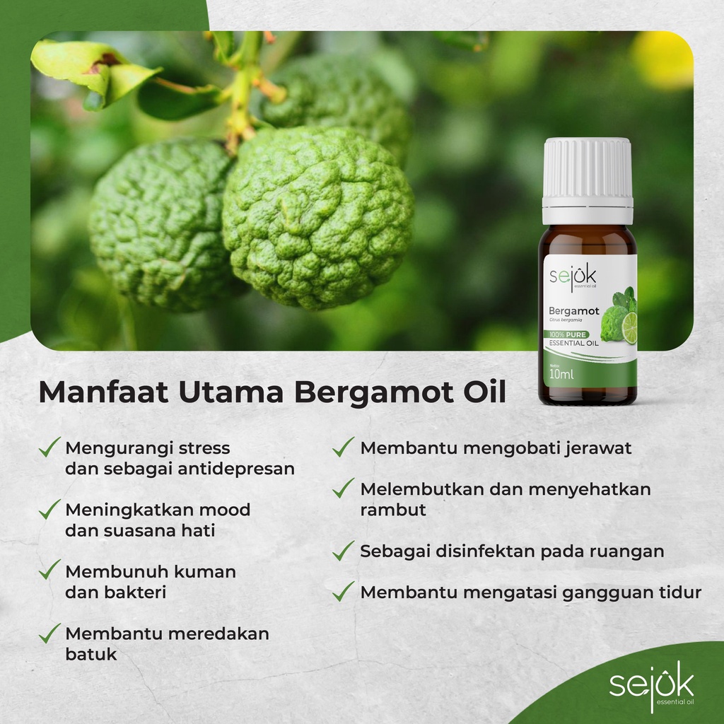 SEJUK Bergamot Essential Oil / Minyak Aroma Terapi Pure 100% - 10ml