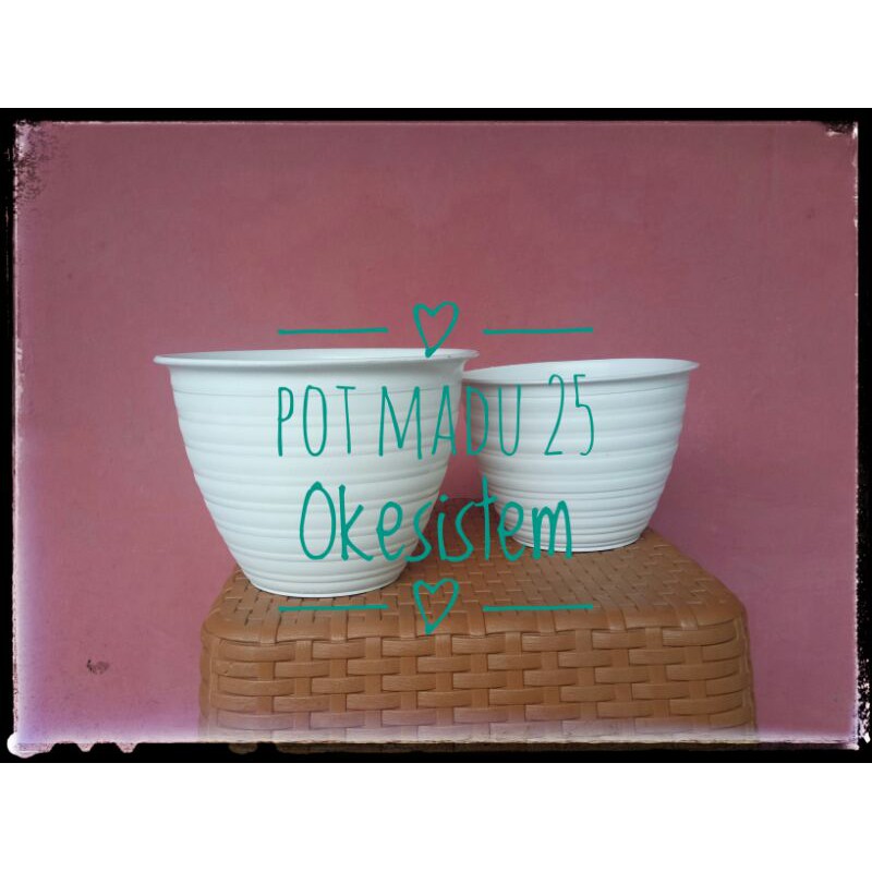 Pot Tanaman hias Bunga Madu Putih 22cm - Pot Madu Lebah Tawon 25
