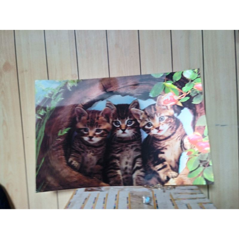 poster 3 dimensi gambar anak kucing