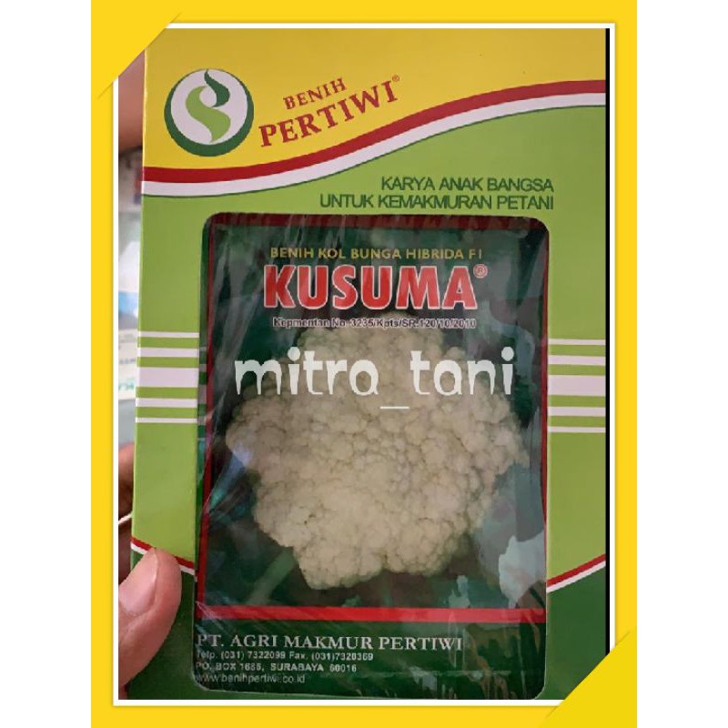 benih bunga kol KUSUMA isi 10gram dari BENIH PERTIWI