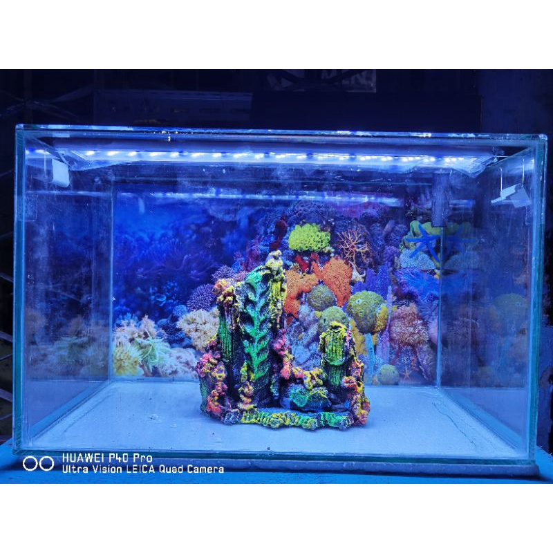 Akuarium Kaca 50x25x30 cm