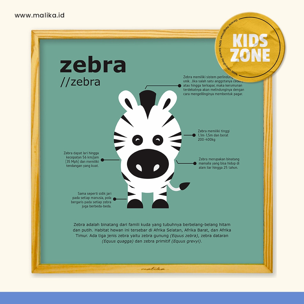 Hiasan Dinding Lucu Ruang Kelas Infografis Hewan Zebra