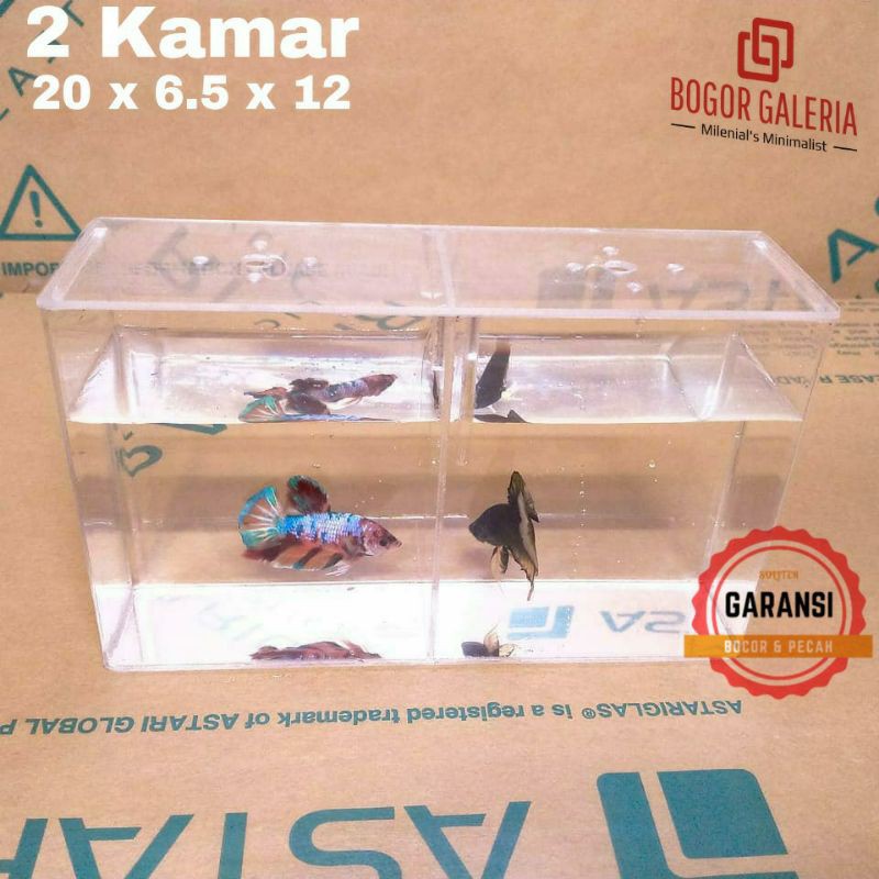 AQUARIUM SOLITER AKRILIK | SOLITER CUPANG | AQUARIUM AKRILIK | IKAN CUPANG 2 KAMAR 20 x 6,4 x 12