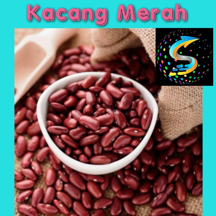 

Q121Sa Kacang Merah Kering Kualitas Super D51qs44