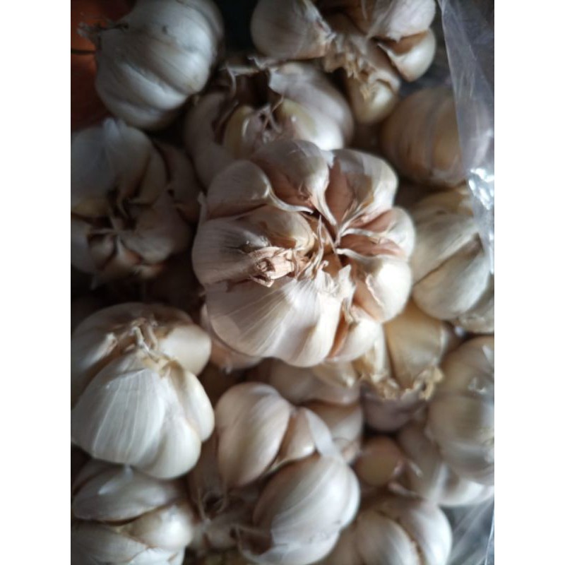 

Bawang putih | glondong (cinco ) 500 gram