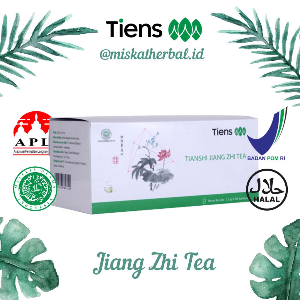 Teh Pelangsing Badan Jiang Zhi Tea Tiens Eceran Teh Hijau Detox Lemak Asam Urat dan Kolesterol