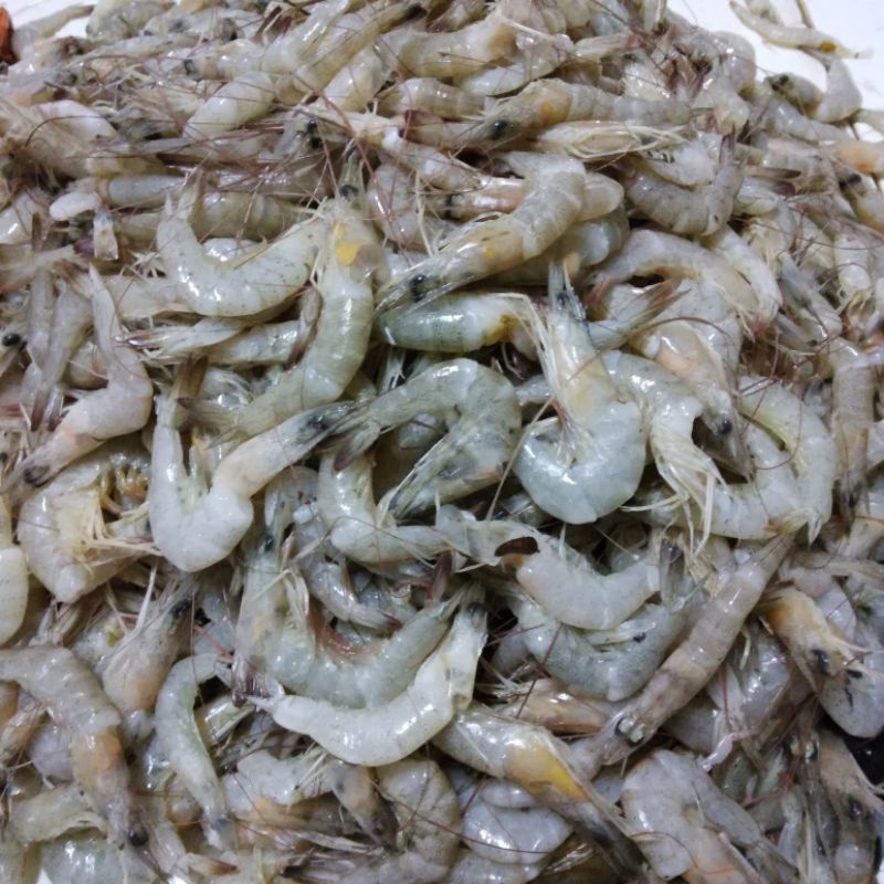 

UDANG PECI / UDANG SEGAR / UDANG MURAH DI JAKARTA SELATAN