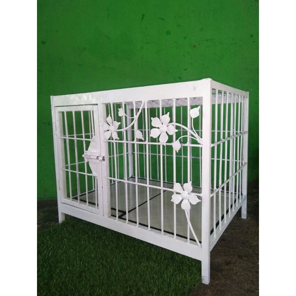 kandang kucing lantai kramik