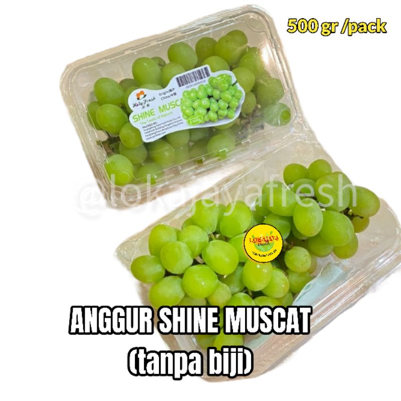 

Anggur Shine Muscat 500 gram Seedless [Pengiriman Instant dan sameday]