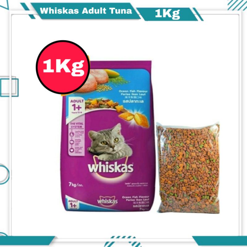 Whiskas Ocean Fish Repack 1kg / Makanan Kucing Whiskas Adult 1+ / Makanan Kucing Kering Untuk Dewasa