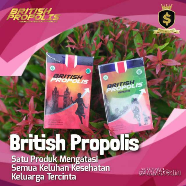 BP- (British Propolis) Menstabilkan Imun