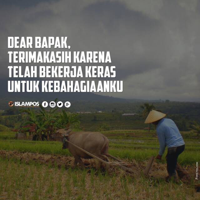 fatulloh79