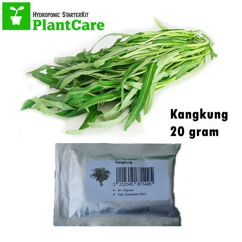 Benih Kangkung Super - 20 gram