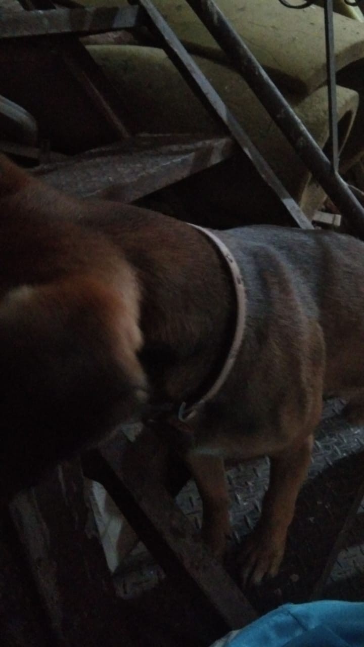 Kemeja Batik Hrb.208 Risna Parang Motif