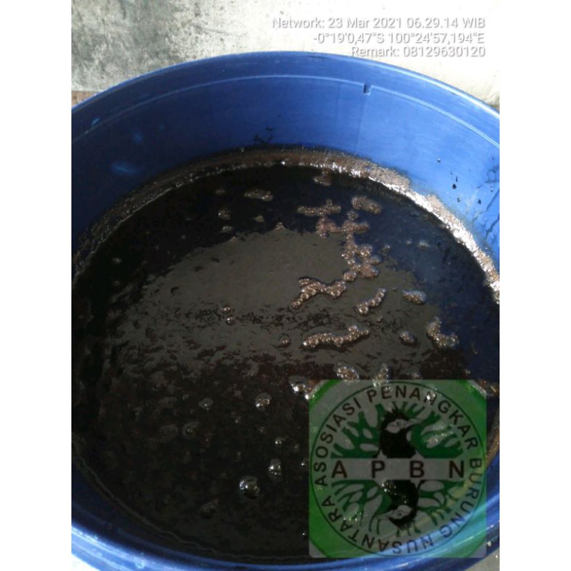 

molase murni 6 kg