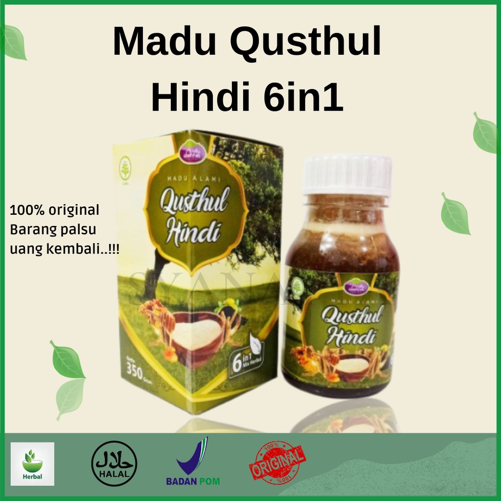 Madu Qusthul Hindi Wasfah 6in1 Madu Herbal Alami Atasi virus