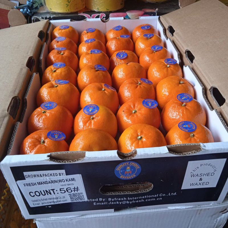 

Buah Jeruk Mandarin wokam super murah berkualitas dan Bergaransi