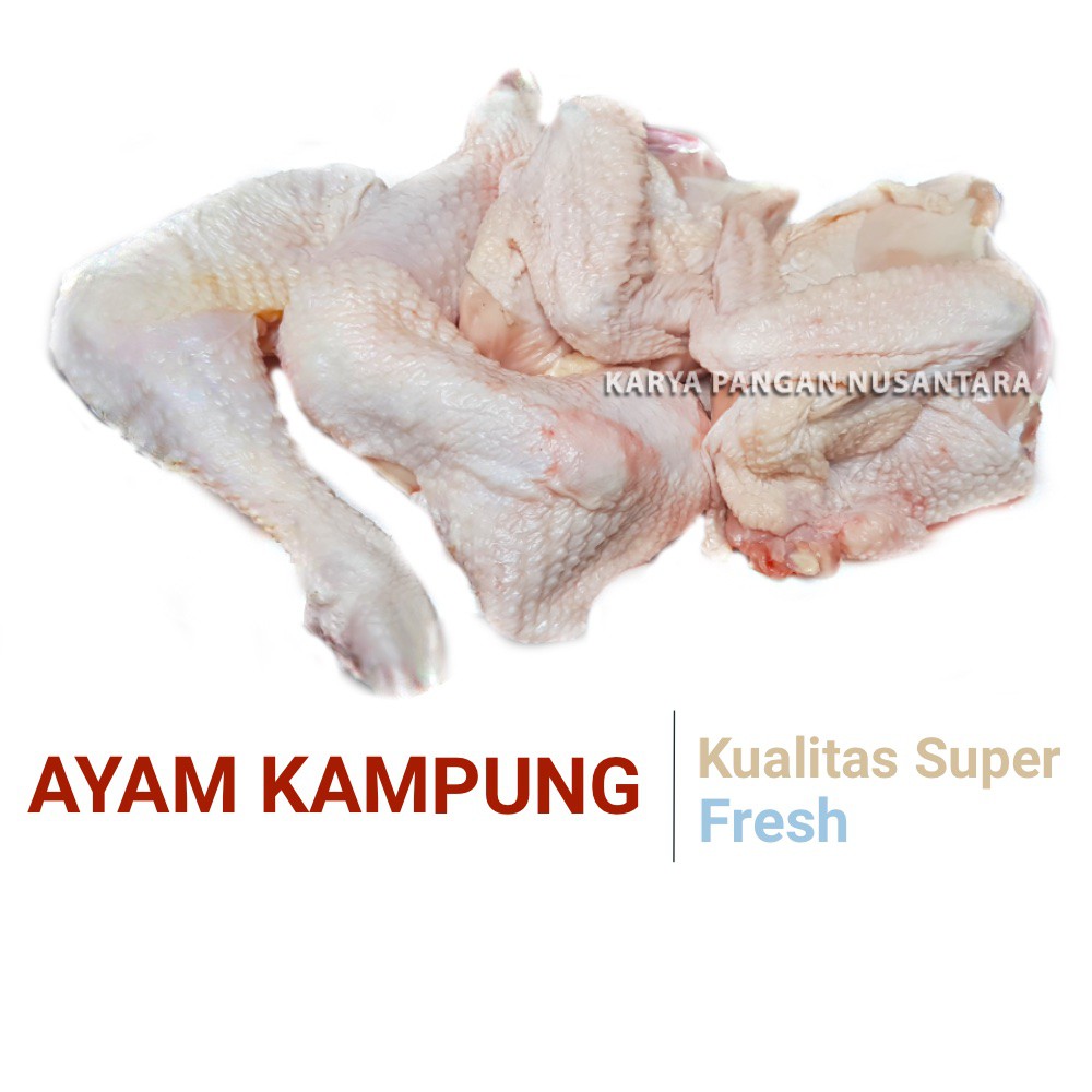 Ayam Kampung /Ayam Kampung Paha Dada / Ayam Pejantan / Ayam Fresh - Per Pcs