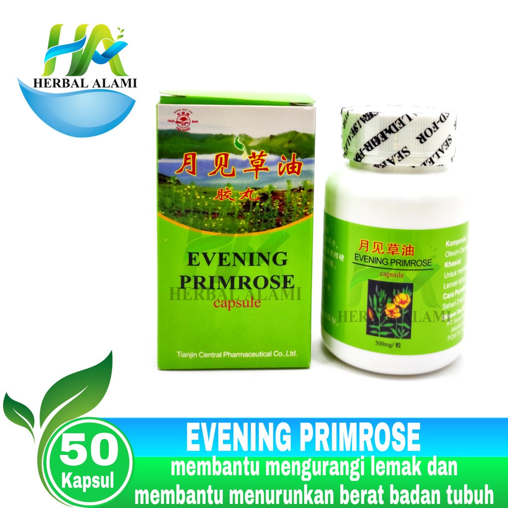 Evening Primrose Capsule (HIJAU) - Obat Kolestrol,LEMAK darah
